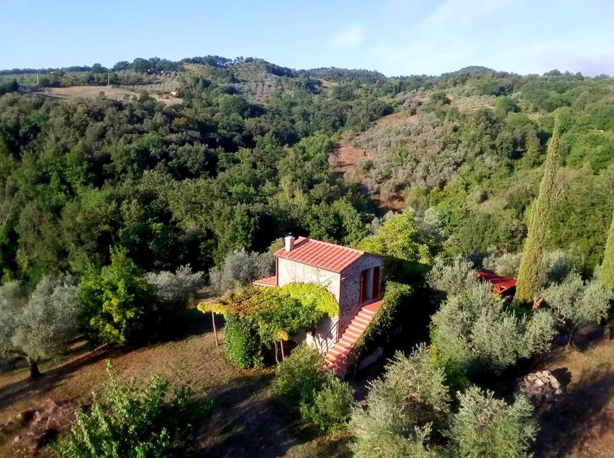 Ferienhaus Il-Pino Villa Roccastrada Ngoại thất bức ảnh